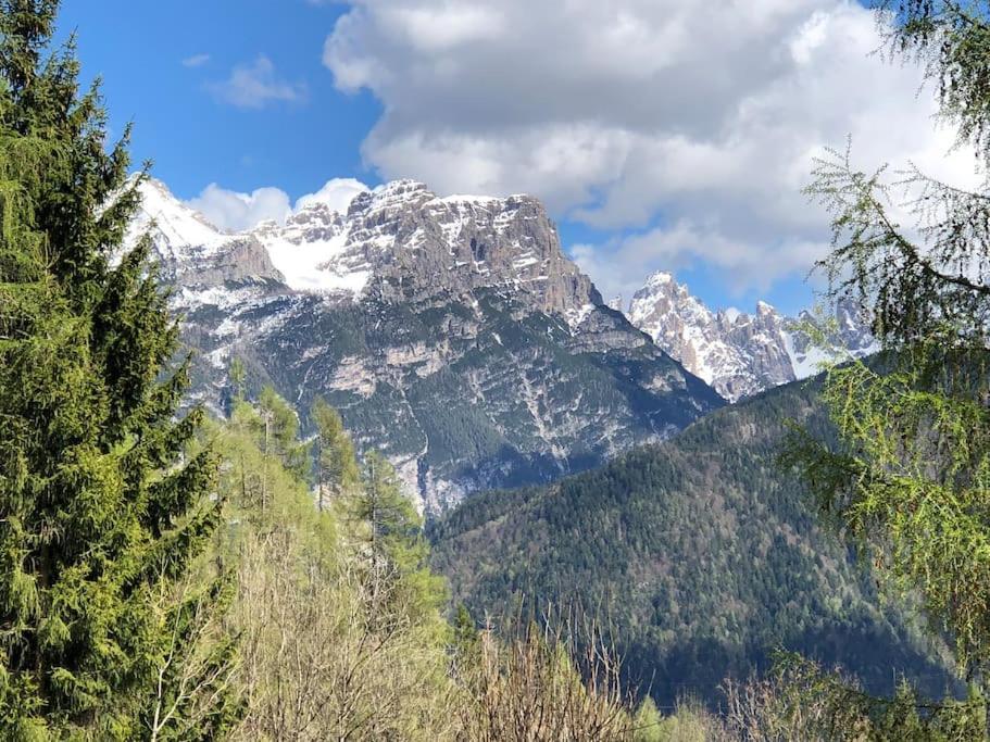 Appartamento Giada Pozzale Di Pieve Di Cadore Exterior photo